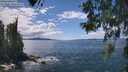 ./images/koeye/fitz-hugh/20260530/fitz-hugh20260530_141501M.jpg