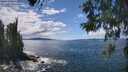 ./images/koeye/fitz-hugh/20260530/fitz-hugh20260530_142001M.jpg