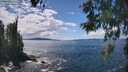 ./images/koeye/fitz-hugh/20260530/fitz-hugh20260530_142501M.jpg