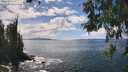 ./images/koeye/fitz-hugh/20260530/fitz-hugh20260530_143501M.jpg