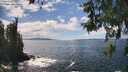 ./images/koeye/fitz-hugh/20260530/fitz-hugh20260530_144001M.jpg