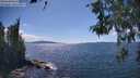 ./images/koeye/fitz-hugh/20260530/fitz-hugh20260530_153001M.jpg