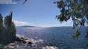 ./images/koeye/fitz-hugh/20260530/fitz-hugh20260530_153501M.jpg