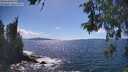 ./images/koeye/fitz-hugh/20260530/fitz-hugh20260530_154001M.jpg