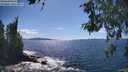 ./images/koeye/fitz-hugh/20260530/fitz-hugh20260530_154501M.jpg