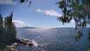 ./images/koeye/fitz-hugh/20260530/fitz-hugh20260530_155501M.jpg
