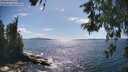 ./images/koeye/fitz-hugh/20260530/fitz-hugh20260530_162501M.jpg