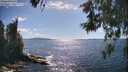 ./images/koeye/fitz-hugh/20260530/fitz-hugh20260530_163001M.jpg