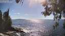 ./images/koeye/fitz-hugh/20260530/fitz-hugh20260530_165001M.jpg