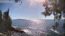 ./images/koeye/fitz-hugh/20260530/fitz-hugh20260530_165501M.jpg
