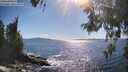 ./images/koeye/fitz-hugh/20260530/fitz-hugh20260530_171001M.jpg