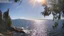 ./images/koeye/fitz-hugh/20260530/fitz-hugh20260530_172001M.jpg