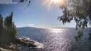 ./images/koeye/fitz-hugh/20260530/fitz-hugh20260530_172501M.jpg