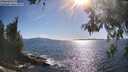 ./images/koeye/fitz-hugh/20260530/fitz-hugh20260530_173501M.jpg