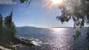 ./images/koeye/fitz-hugh/20260530/fitz-hugh20260530_174002M.jpg
