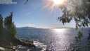 ./images/koeye/fitz-hugh/20260530/fitz-hugh20260530_174501M.jpg