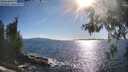 ./images/koeye/fitz-hugh/20260530/fitz-hugh20260530_175501M.jpg
