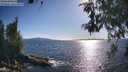 ./images/koeye/fitz-hugh/20260530/fitz-hugh20260530_180501M.jpg