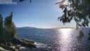 ./images/koeye/fitz-hugh/20260530/fitz-hugh20260530_182002M.jpg