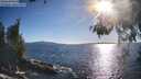 ./images/koeye/fitz-hugh/20260530/fitz-hugh20260530_183001M.jpg