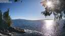 ./images/koeye/fitz-hugh/20260530/fitz-hugh20260530_183501M.jpg