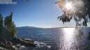 ./images/koeye/fitz-hugh/20260530/fitz-hugh20260530_184001M.jpg