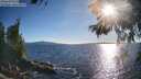 ./images/koeye/fitz-hugh/20260530/fitz-hugh20260530_184501M.jpg