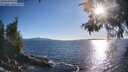 ./images/koeye/fitz-hugh/20260530/fitz-hugh20260530_185001M.jpg