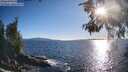 ./images/koeye/fitz-hugh/20260530/fitz-hugh20260530_185501M.jpg