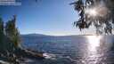 ./images/koeye/fitz-hugh/20260530/fitz-hugh20260530_191001M.jpg