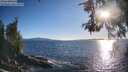 ./images/koeye/fitz-hugh/20260530/fitz-hugh20260530_191501M.jpg