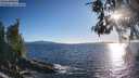 ./images/koeye/fitz-hugh/20260530/fitz-hugh20260530_192001M.jpg