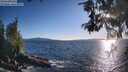 ./images/koeye/fitz-hugh/20260530/fitz-hugh20260530_192501M.jpg
