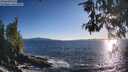 ./images/koeye/fitz-hugh/20260530/fitz-hugh20260530_193501M.jpg