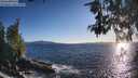 ./images/koeye/fitz-hugh/20260530/fitz-hugh20260530_194501M.jpg