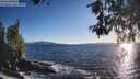 ./images/koeye/fitz-hugh/20260530/fitz-hugh20260530_195501M.jpg
