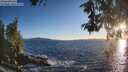 ./images/koeye/fitz-hugh/20260530/fitz-hugh20260530_202501M.jpg