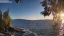 ./images/koeye/fitz-hugh/20260530/fitz-hugh20260530_204501M.jpg