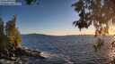 ./images/koeye/fitz-hugh/20260530/fitz-hugh20260530_205501M.jpg