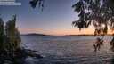 ./images/koeye/fitz-hugh/20260530/fitz-hugh20260530_214502M.jpg
