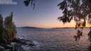 ./images/koeye/fitz-hugh/20260530/fitz-hugh20260530_215501M.jpg