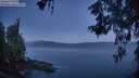 ./images/koeye/fitz-hugh/20260531/fitz-hugh20260531_044501M.jpg