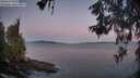 ./images/koeye/fitz-hugh/20260531/fitz-hugh20260531_050501M.jpg