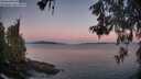 ./images/koeye/fitz-hugh/20260531/fitz-hugh20260531_051501M.jpg