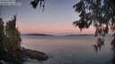./images/koeye/fitz-hugh/20260531/fitz-hugh20260531_052001M.jpg