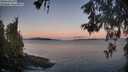 ./images/koeye/fitz-hugh/20260531/fitz-hugh20260531_052501M.jpg
