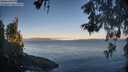 ./images/koeye/fitz-hugh/20260531/fitz-hugh20260531_061501M.jpg