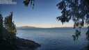 ./images/koeye/fitz-hugh/20260531/fitz-hugh20260531_064001M.jpg