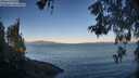./images/koeye/fitz-hugh/20260531/fitz-hugh20260531_064501M.jpg