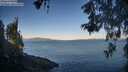 ./images/koeye/fitz-hugh/20260531/fitz-hugh20260531_065001M.jpg